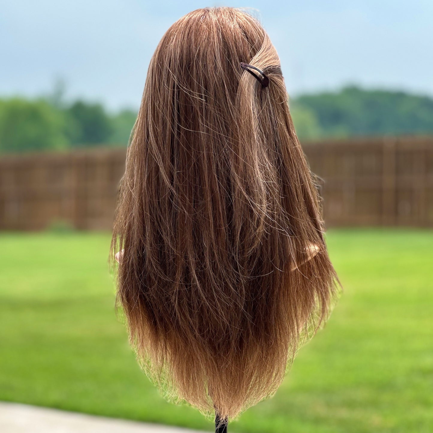 Light Brown + highlights